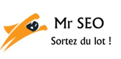 Mr SEO